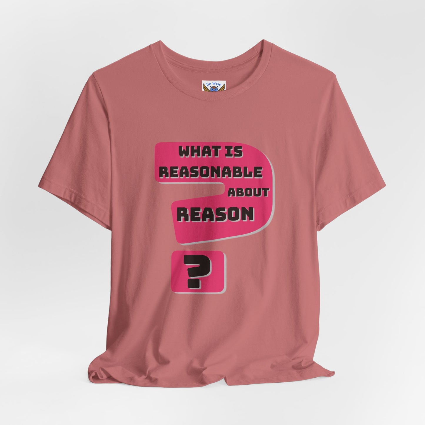 What Is Reasonable T-Shirt