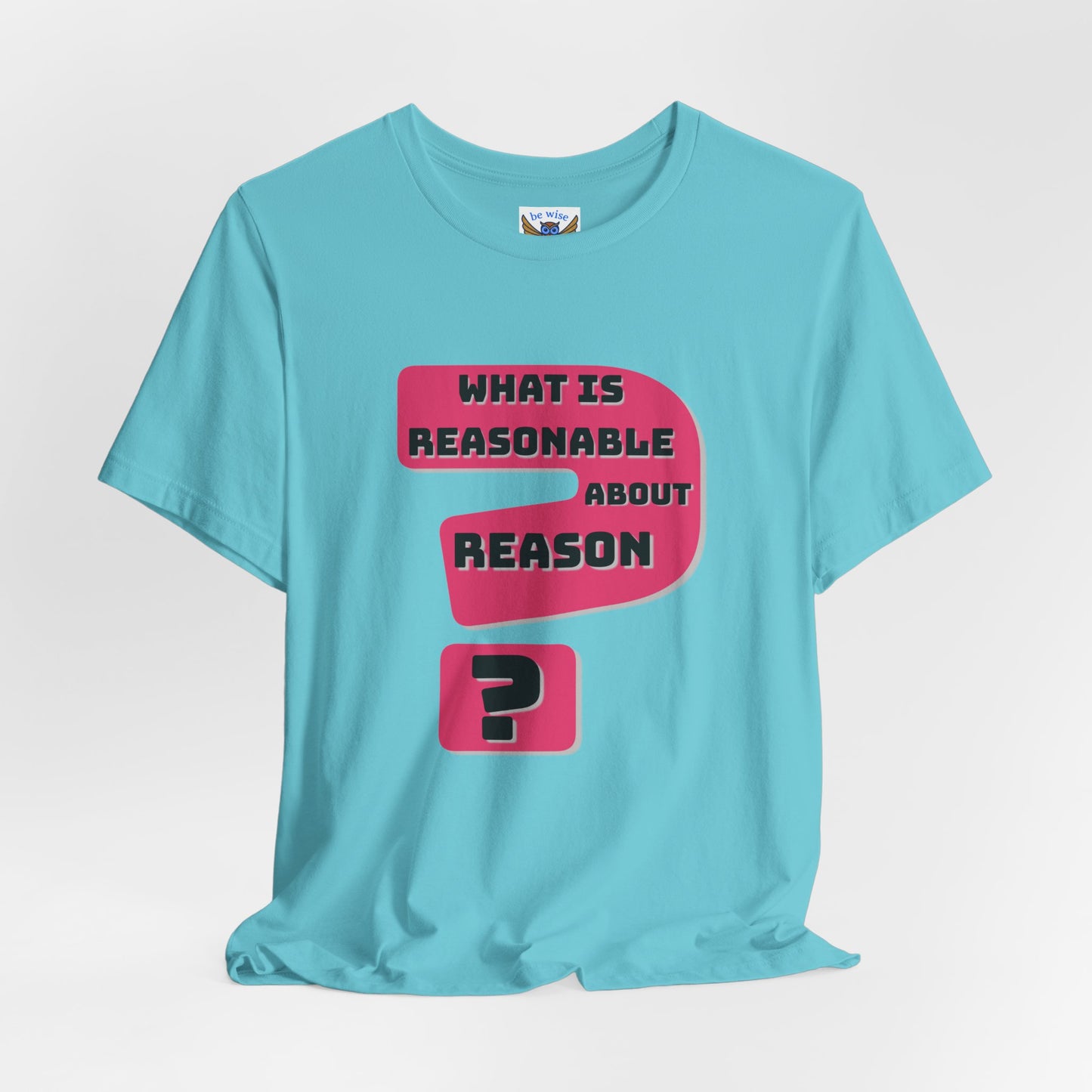 What Is Reasonable T-Shirt