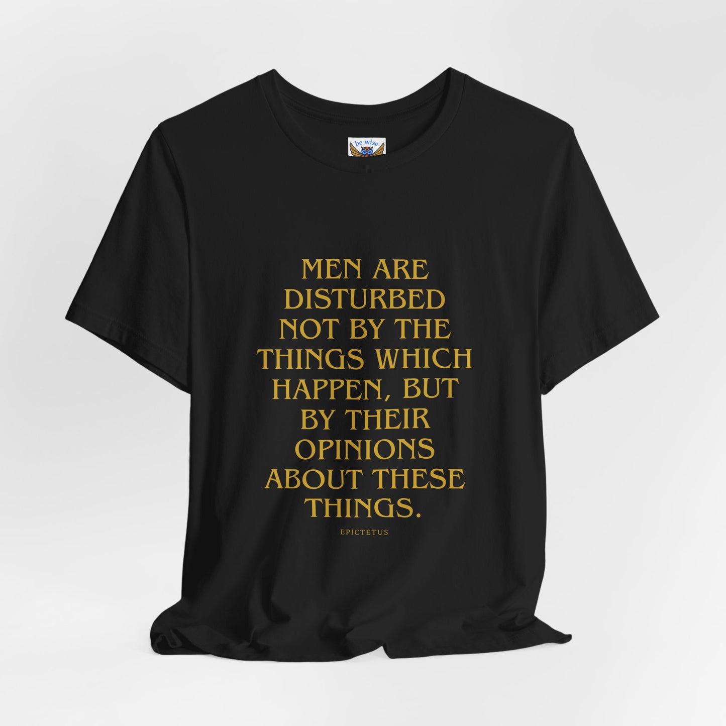 Men Are Disturbed Not By The Things T-Shirt