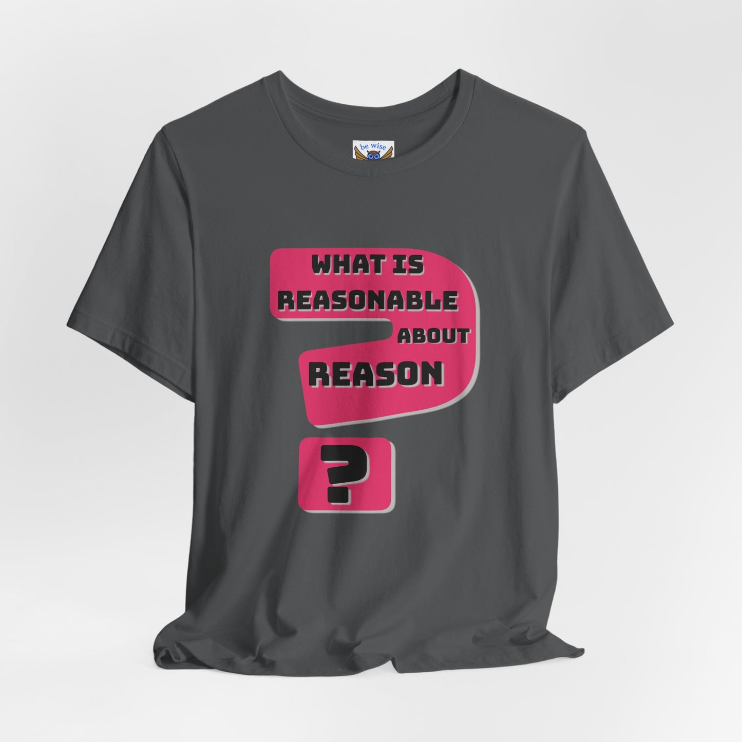 What Is Reasonable T-Shirt