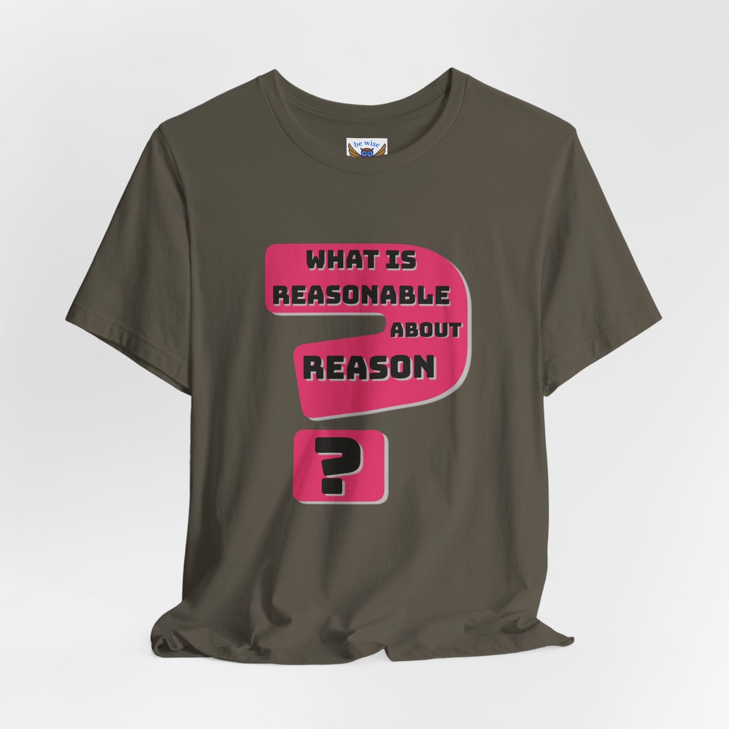 What Is Reasonable T-Shirt