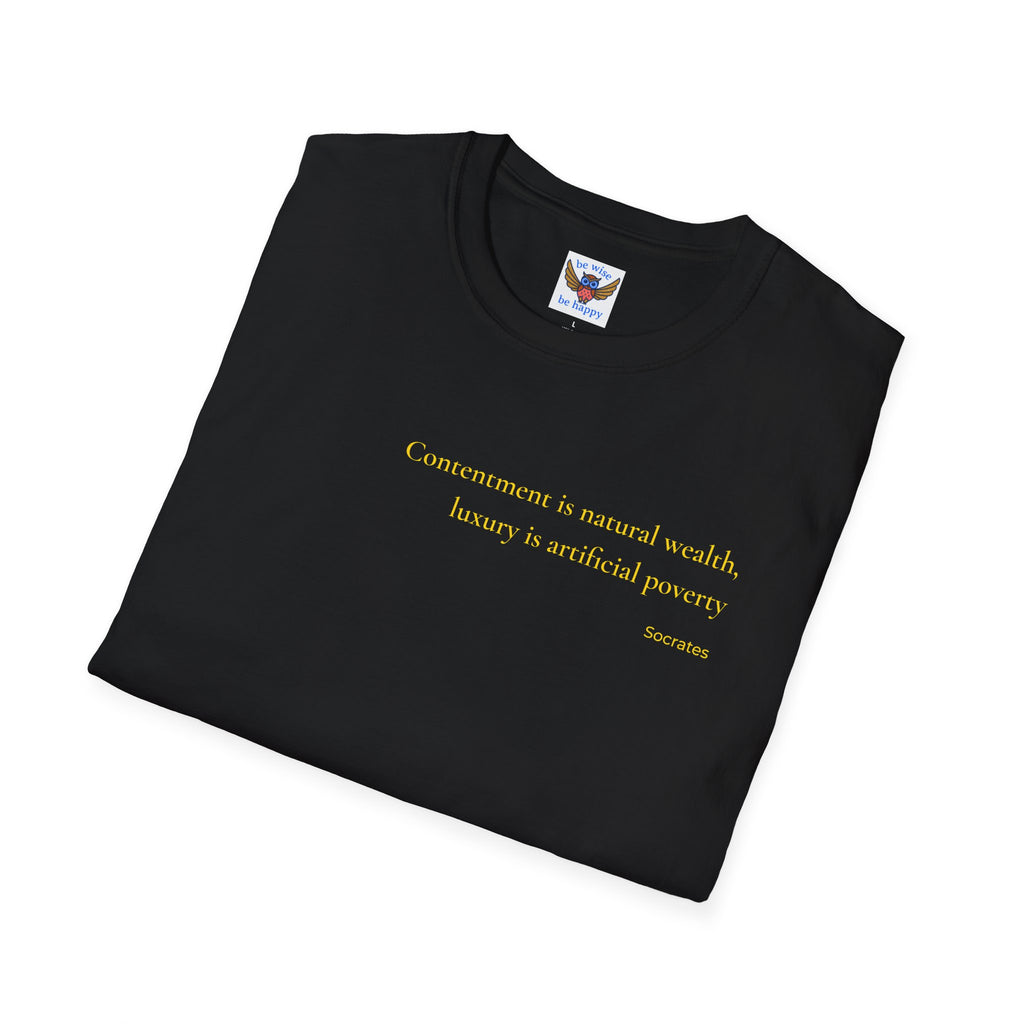 W17 - Modesty T-Shirt