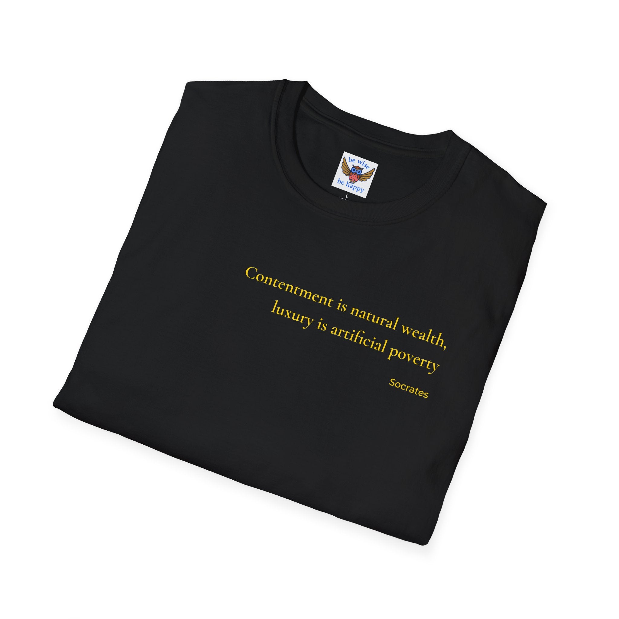 W17 - Modesty T-Shirt