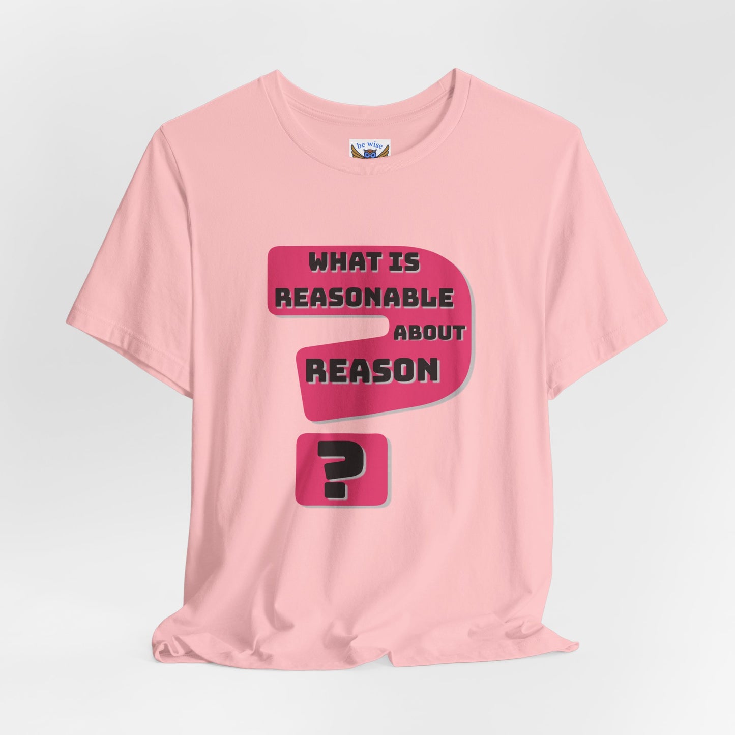 What Is Reasonable T-Shirt
